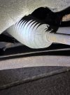 IMG_6368.jpeg