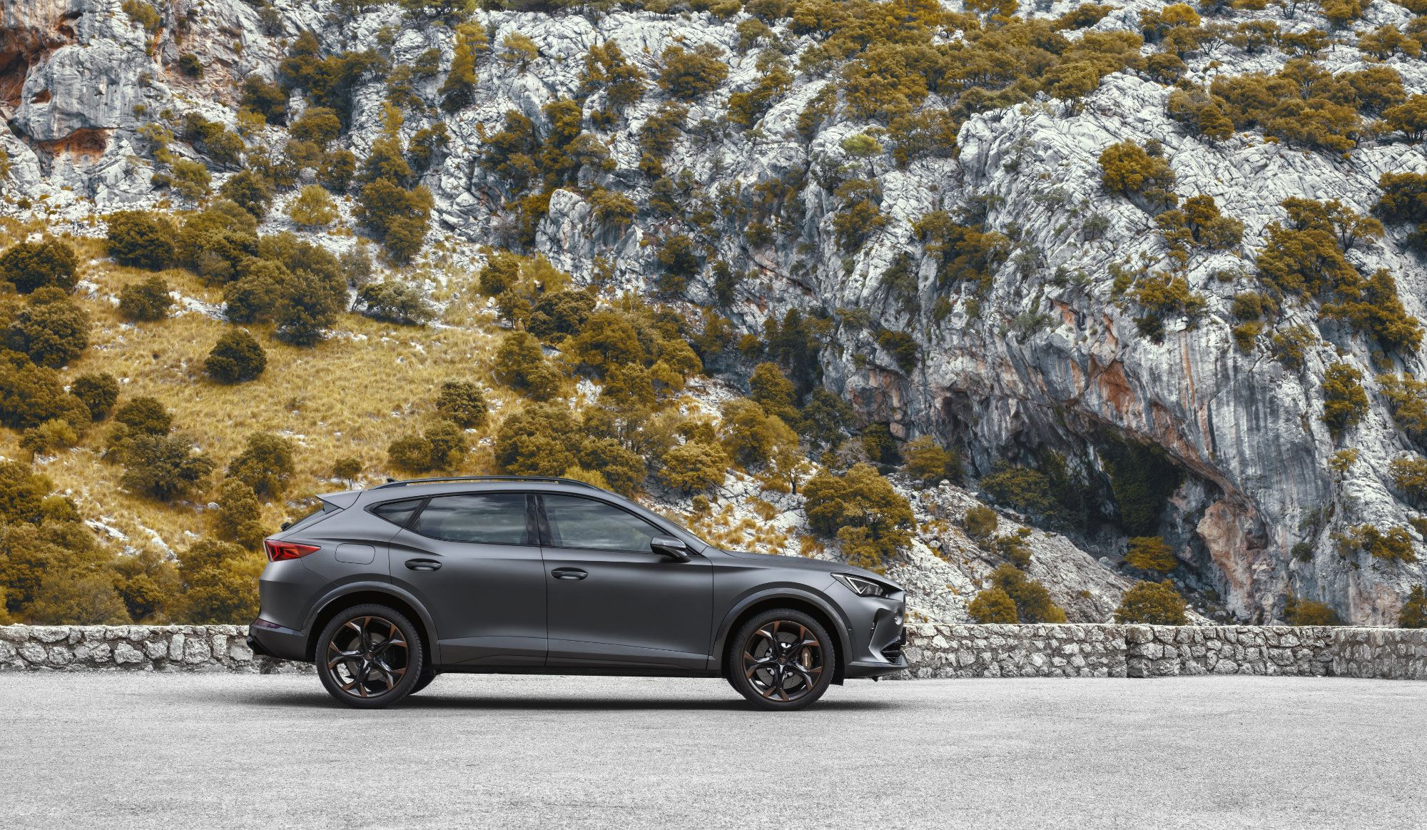 CUPRA-Formentor-Dynamic_10_HQ.jpg